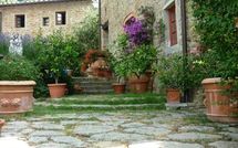 Foto ingevoerd door een huurder van La Capraia