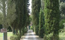 Foto ingevoerd door een huurder van Villa Fontine