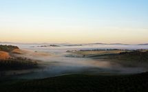 Foto ingevoerd door een huurder van Podere Cunina