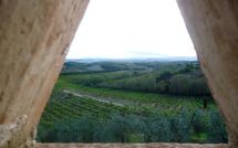 Foto ingevoerd door een huurder van Borgo Tollena