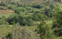 Foto ingevoerd door een huurder van Agriturismo Paterno