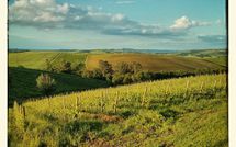 Foto ingevoerd door een huurder van Villa San Filippo