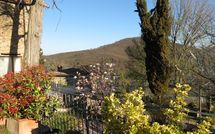 Foto ingevoerd door een huurder van Villa Fabbroni - Fattoria San Polo