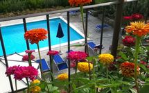 Foto ingevoerd door een huurder van Palazzo Rosadi