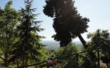 Foto ingevoerd door een huurder van Borgo del Castagno