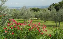 Foto ingevoerd door een huurder van Villa Nibbiano