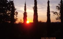 Foto ingevoerd door een huurder van Podere Orietta