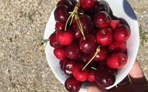 Foto ingevoerd door een huurder van Villa Eden