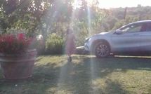 Foto ingevoerd door een huurder van Country House Il Galleto