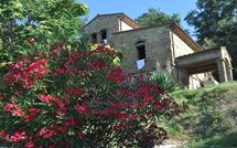 Foto ingevoerd door een huurder van Le Sculture