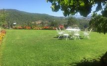 Foto ingevoerd door een huurder van Palazzo Rosadi