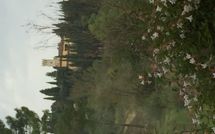 Foto ingevoerd door een huurder van Villa Cinzia