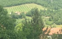 Foto ingevoerd door een huurder van Palazzo Rosadi