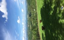 Foto ingevoerd door een huurder van Palazzo Rosadi