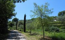 Foto ingevoerd door een huurder van Podere San Bono