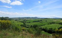 Foto ingevoerd door een huurder van Podere San Bono