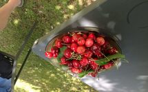 Foto ingevoerd door een huurder van Cegliolo