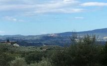 Foto ingevoerd door een huurder van Villa Orchidea