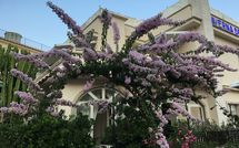 Foto ingevoerd door een huurder van Cantone Bay