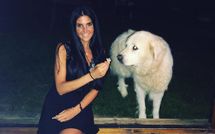 Foto ingevoerd door een huurder van Villa Ardene