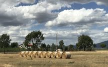 Foto ingevoerd door een huurder van Case Sant'Anna