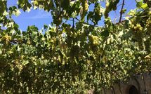 Foto ingevoerd door een huurder van Villa Piazza della Fortezza