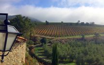 Foto ingevoerd door een huurder van Villa Nova