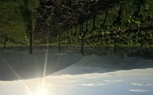 Foto ingevoerd door een huurder van Casalta di Pesa