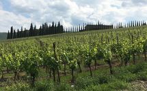 Foto ingevoerd door een huurder van Casalta di Pesa