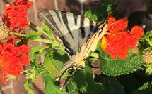 Foto ingevoerd door een huurder van Casa Fiora