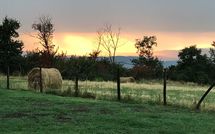 Foto ingevoerd door een huurder van Podere Capraia