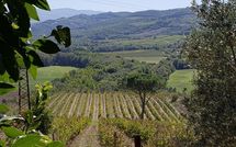 Foto ingevoerd door een huurder van Cerretalta