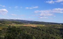 Foto ingevoerd door een huurder van Fattoria di Quercia al Poggio