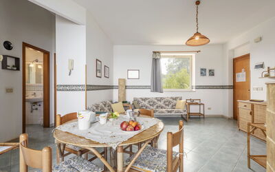 Accommodatie:&nbsp;Cicladi Naxos 100.5