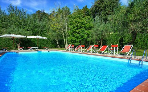 Villa Fiamma: Water, Fabriek, Zwembad, Lucht, Azure, Wolk, Boom, Buitenmeubels, Natuurlijk Landschap, Rechthoek