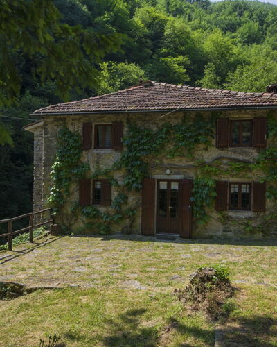 Il Mulino di Cecco: Eigendom, Huis, Natuurlijk Landschap, Gebouw, Verblijf, Boom, Huis, Gras, Landelijk Gebied, Landschap