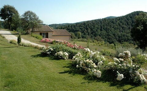 Villa Di Seripa: Land Lot, Eigendom, Tuin, Fabriek, Gras, Plantengemeenschap, Struik, Boom, Landelijk Gebied, Gazon
