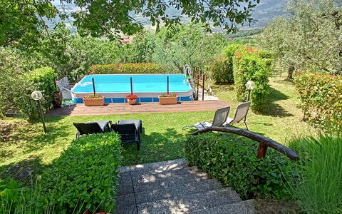 Il Circolo: Zwembad, Tuin, Vrije Tijd, Schaduw, Backyard, Landscaping, Eco Hotel, Gazon, Werf, Toevlucht