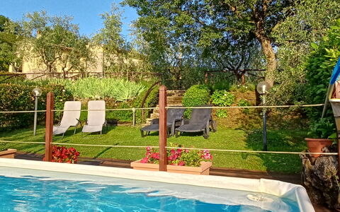 Il Circolo: Zwembad, Toevlucht, Tuin, Bloempot, Vrije Tijd, Backyard, Buitenmeubels, Schaduw, Eco Hotel