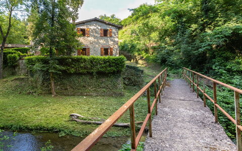 La Ripresa: Vegetation, Natuurgebied, Waterweg, Boom, Rivier, Gras, Huis, Landelijk Gebied, Waterloop, Brug