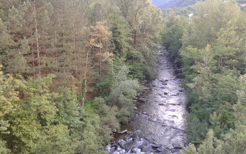 Appartamento Porretta Terme: Bergachtig Landvormen, Wildernis, Vegetation, Berg, Natuurgebied, Boom, Biome, Water, Geologisch Fenomeen, Plantengemeenschap