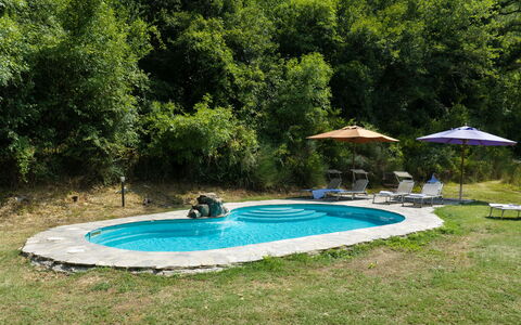 Villa Paola: Zwembad, Buitenmeubels, Vrije Tijd, Toevlucht, Backyard, Tuin, Schaduw, Landscaping, Waterpartij, Eco Hotel