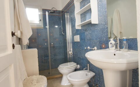 Accommodatie:&nbsp;Studio