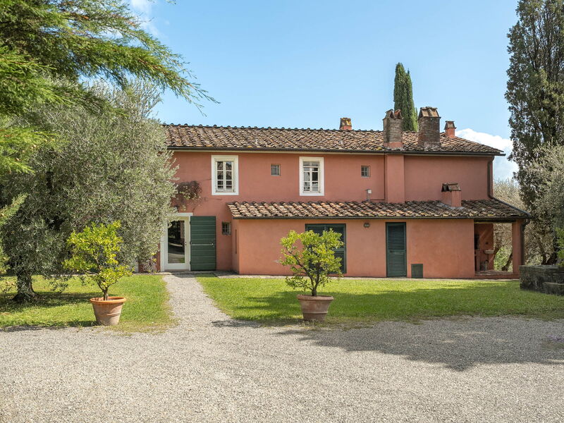 Il Vignale