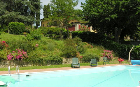 Villa i Cedri: Zwembad, Eigendom, Vrije Tijd, Onroerend Goed, Woongebied, Huis, Gras, Boom, Landschap, Vakantie