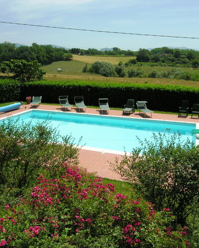 Villa i Cedri: Zwembad, Eigendom, Vrije Tijd, Vakantie, Toevlucht, Zomer, Lucht, Onroerend Goed, Huis, Gras