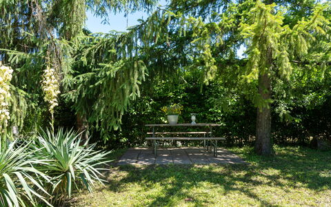 Villa Il Nido: Fabriek, Plantengemeenschap, Openluchtbank, Natuurlijk Landschap, Boom, Land Lot, Schaduw, Plantendiversiteit, Arecales, Struik