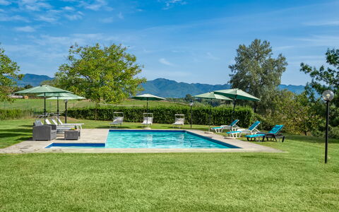 Villa La Collina: Fabriek, Lucht, Wolk, Paraplu, Water, Zwembad, Boom, Stoel, Schaduw, Buitenmeubels
