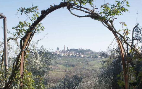 Agriturismo Paterno: Boom, Boog, Fabriek, Architectuur, Woody Plant, Gras, Afdeling, Landschap,  Felsen\