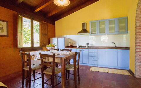 Accommodatie:&nbsp;Borgo Maisale Ulivo 160.3